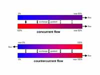 Concurrent exchange and countercurren...