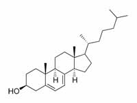 7-Dehydrocholesterol