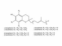 Forms of Vitamin E