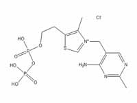 Thiamine pyrophosphate