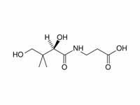 Pantothenic acid