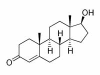 Testosterone