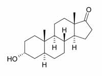 Androsterone