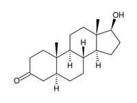 Dihydrotestosterone