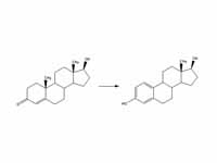 Conversion of testosterone to estradiol