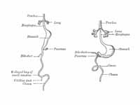 Front view of two successive stages i...